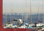 boats